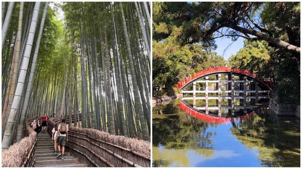 Discover Japan’s hidden gems beyond Osaka and Kyoto’s tourist hotspots, from serene bamboo groves, onsens to secret temples.