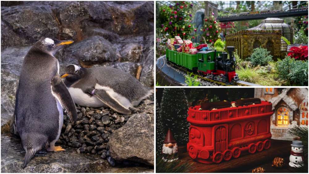Wintry friends, model trains and buffet spreads galore make for an unforgettable holiday season in Singapore this year.