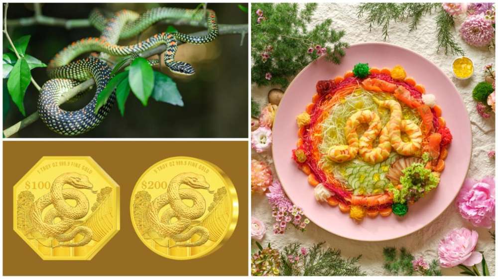 Usher in the Year of the Snake with a mix of culinary delights, daring encounters, and legendary stories.