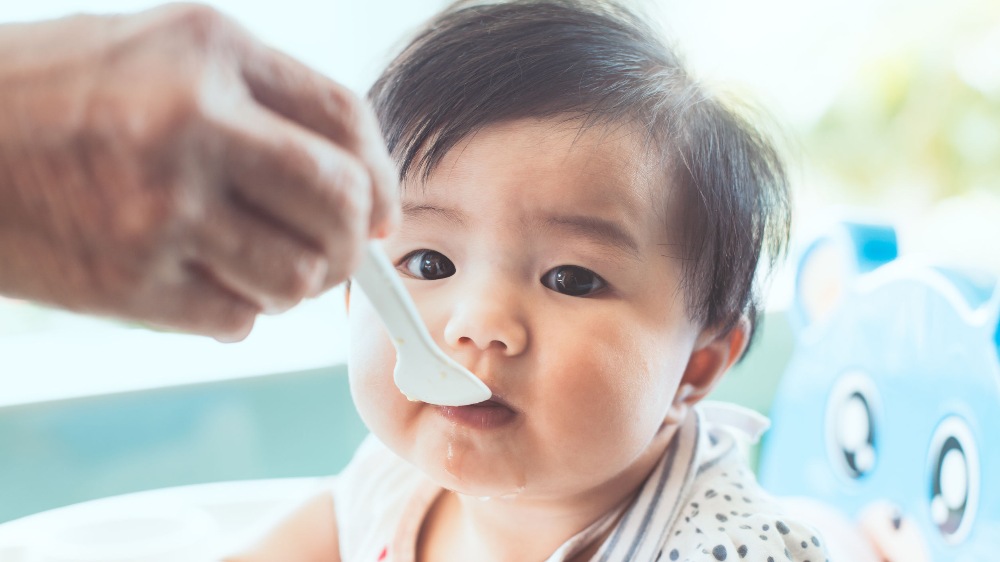 Here's a general guide to the different baby food you can expect to feed your baby within their first year.
