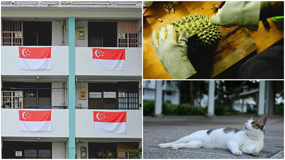 From hanging the flag during NDP season to caring for community cats and introducing visitors to the King of Fruits, simple, everyday gestures that show just how much you love Singapore.