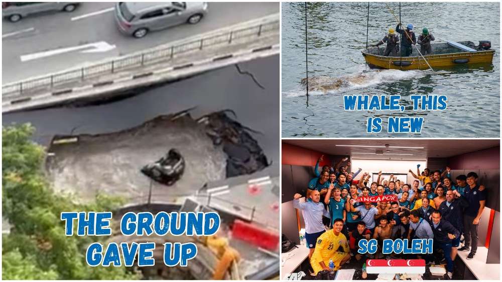 Giant sinkholes, whale carcass and Singapore football team qualifying for the 2027 AFC Asian Cup – these were the moments Singaporeans obsessed over in 2025.