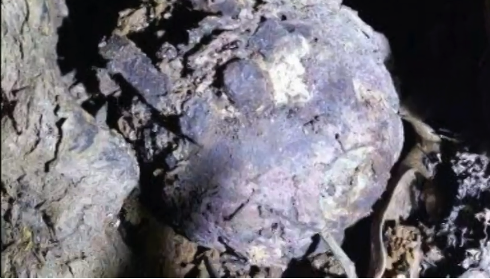 outram WWII war relic