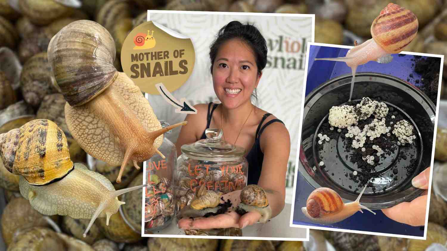 Steph Kudus, the founder of WholeSnail, has pioneered Singapore's first-of-its-kind, temperature-controlled indoor snail farm, producing escargot and cosmeceutical slime.