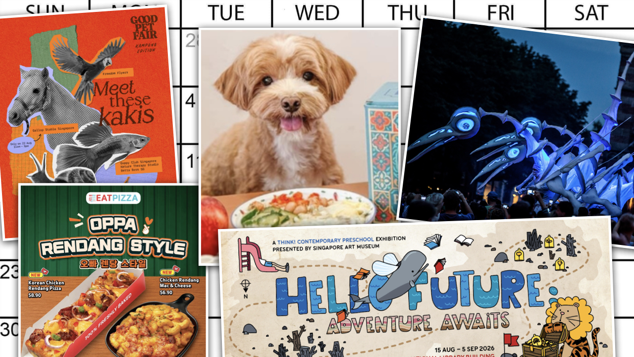 From dog's day out to night moves in the city, here's what you can do this coming week