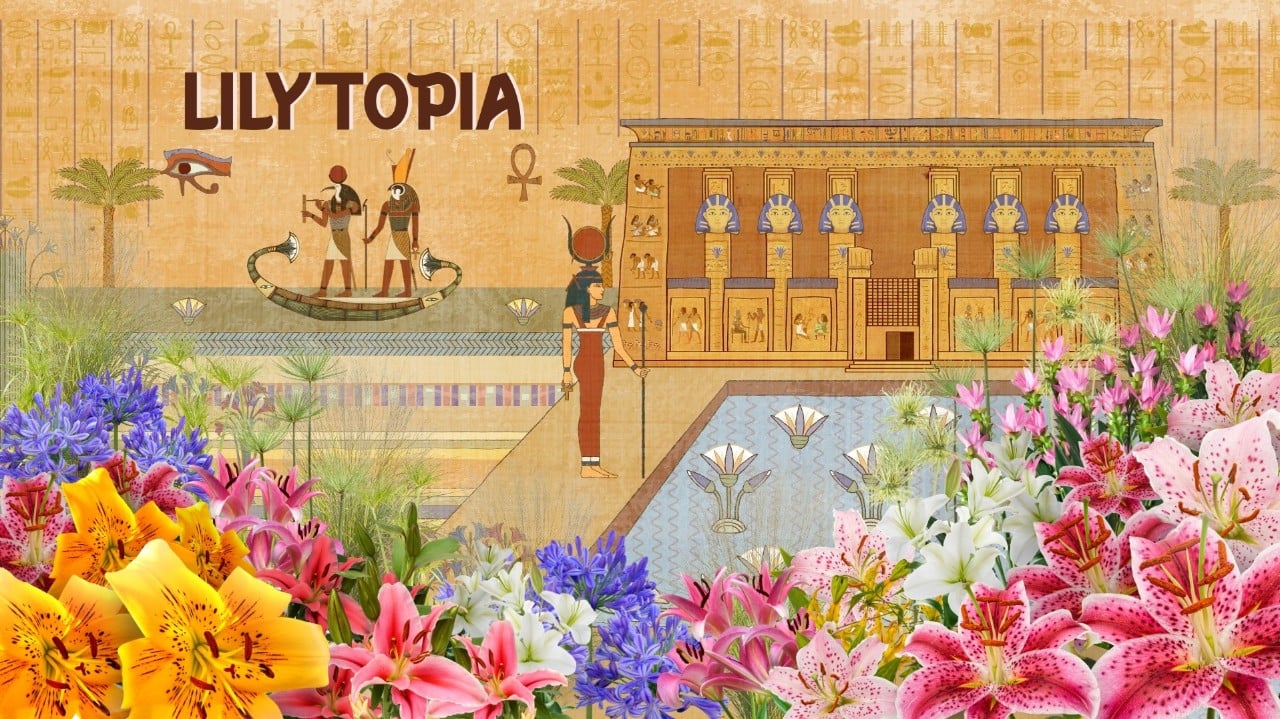 2026-lilytopia-website-kvx16x9