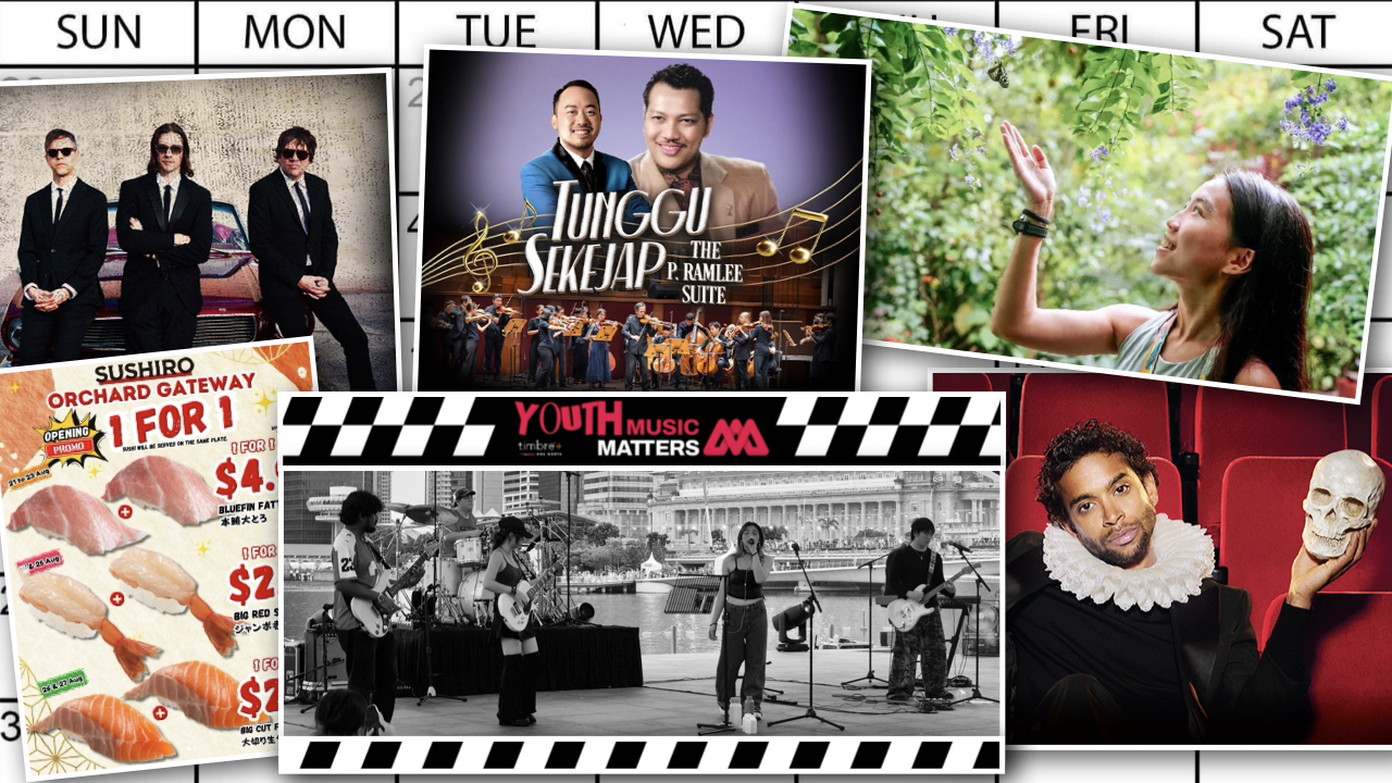 Gigs, gigs, gigs, and much more! Find out how to spend your week with us