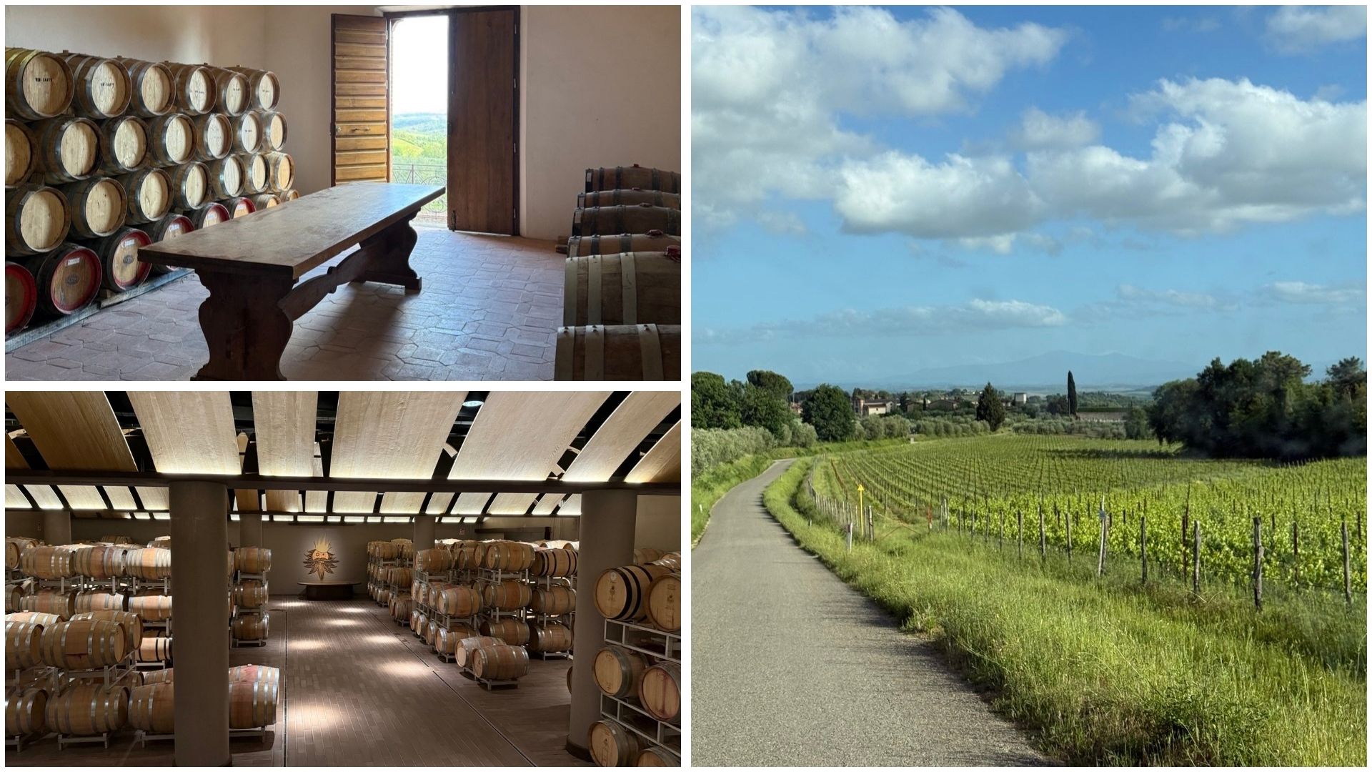 Planning a Tuscany wine trip? Here’s how one Singapore traveller explored Chianti and Val d’Orcia, chose wineries, rented a car and shipped wine home.